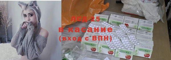 ГАЛЛЮЦИНОГЕННЫЕ ГРИБЫ Кодинск