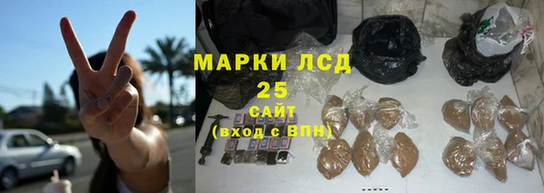 ГАЛЛЮЦИНОГЕННЫЕ ГРИБЫ Кодинск