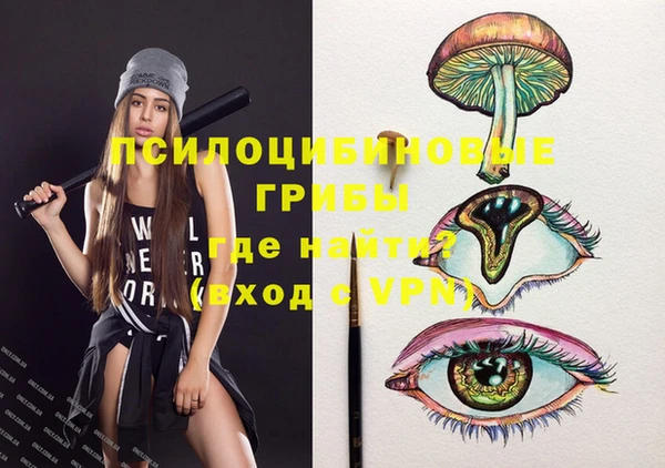 ГАЛЛЮЦИНОГЕННЫЕ ГРИБЫ Кодинск