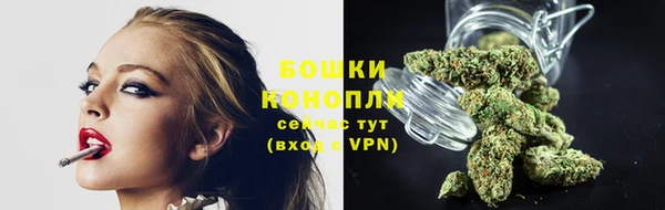 спайс Козловка