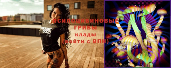 спайс Козловка